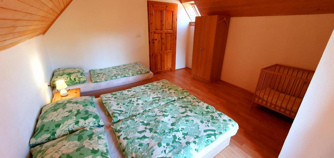 Vilka Cibulka A Chata Cesnacik Ižipovce Esterno foto